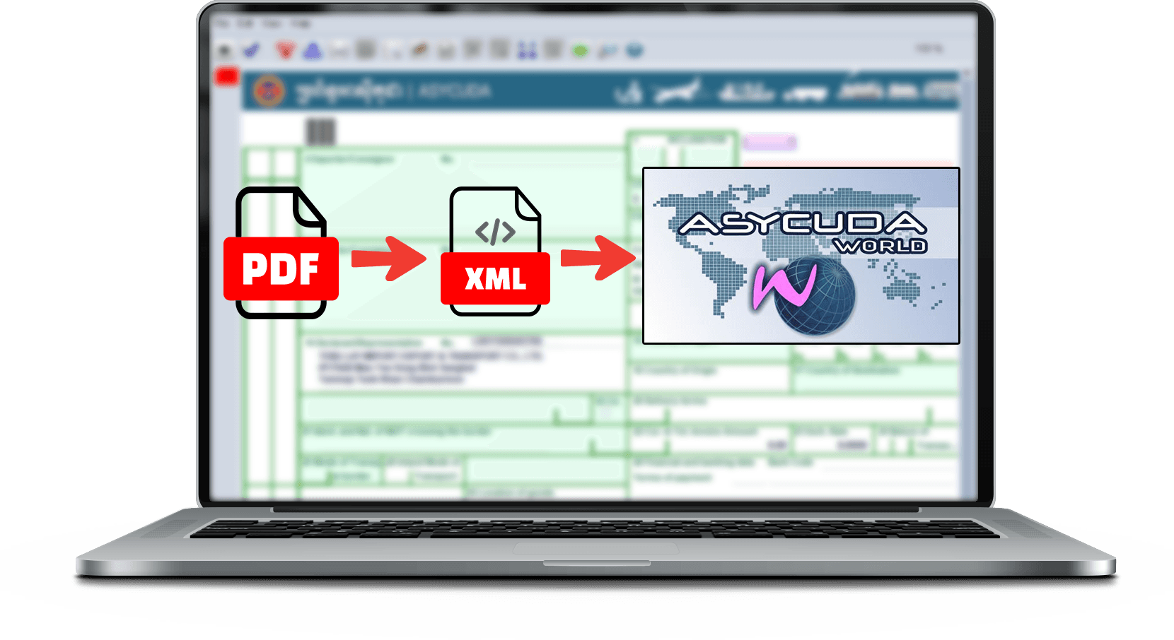 ASYCUDA Pro dashboard preview